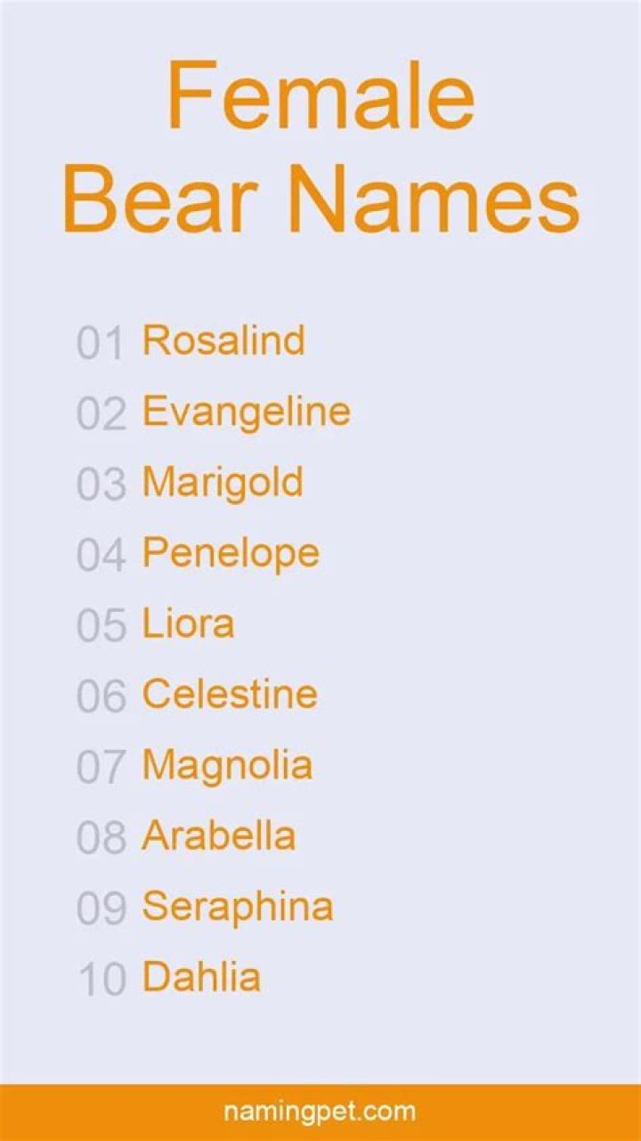 A Comprehensive Guide To Majestic Female Bear Names