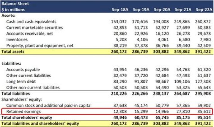 A Comprehensive Look At Her Earnings And Wealth