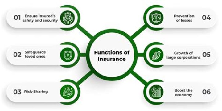 A Guide To Its Functions And Benefits