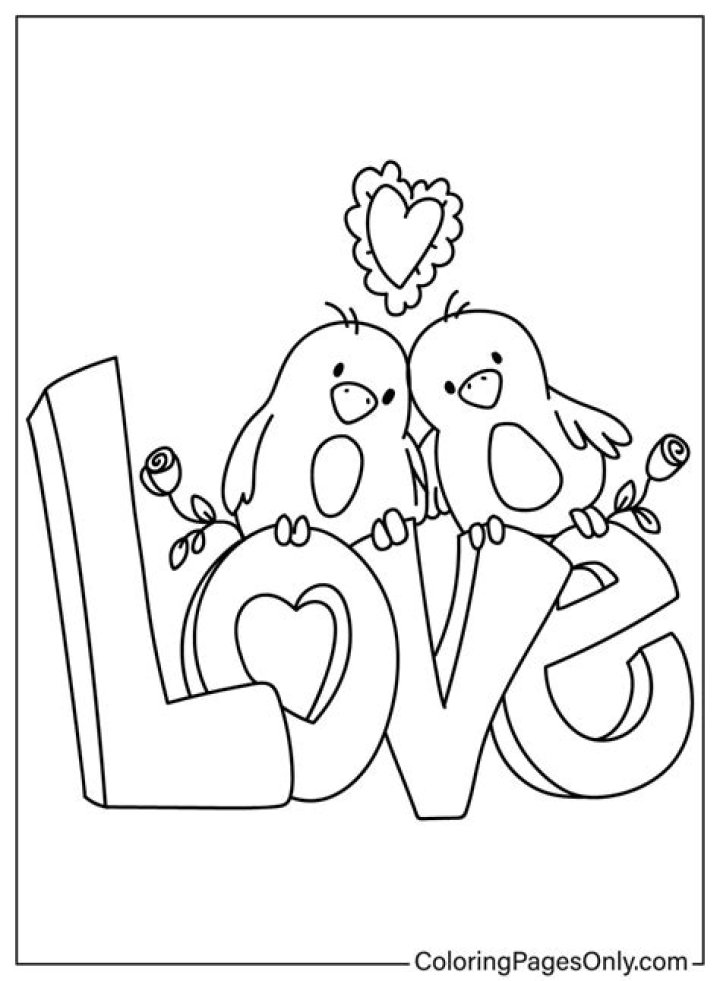 A Journey Of Love And Color