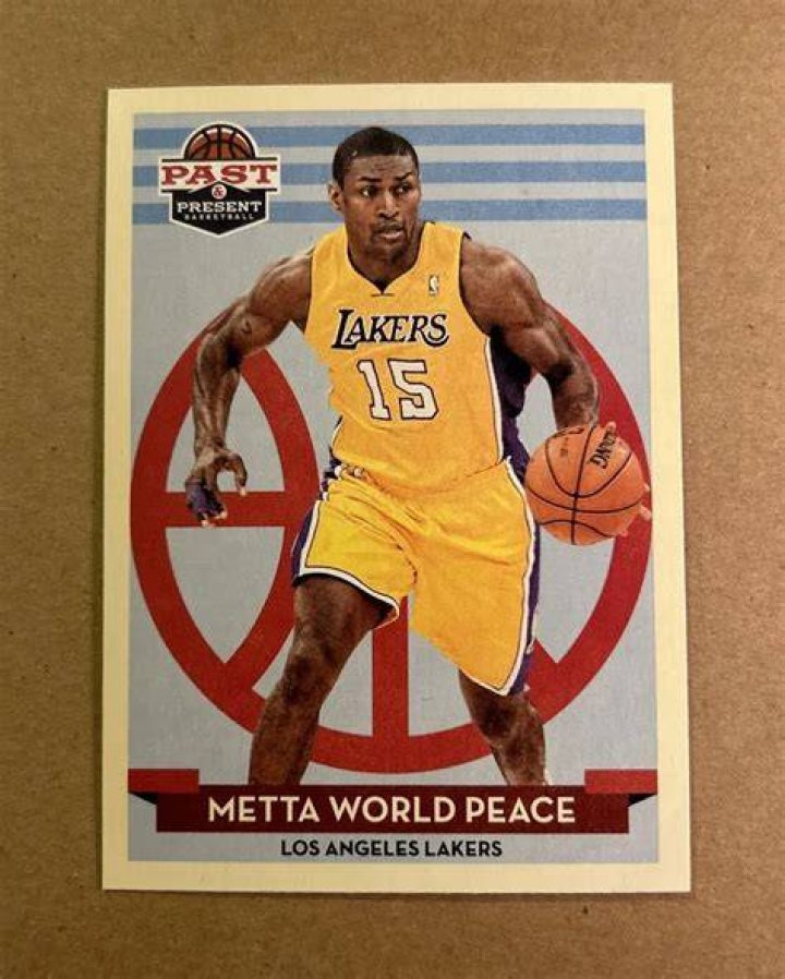 A Journey With Metta World Peace