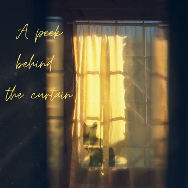A Peek Behind The Lyrics