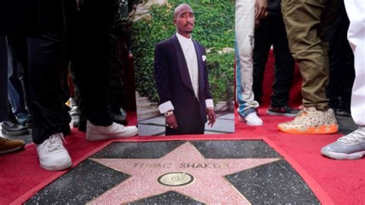 A Rising Star On The Hollywood Scene