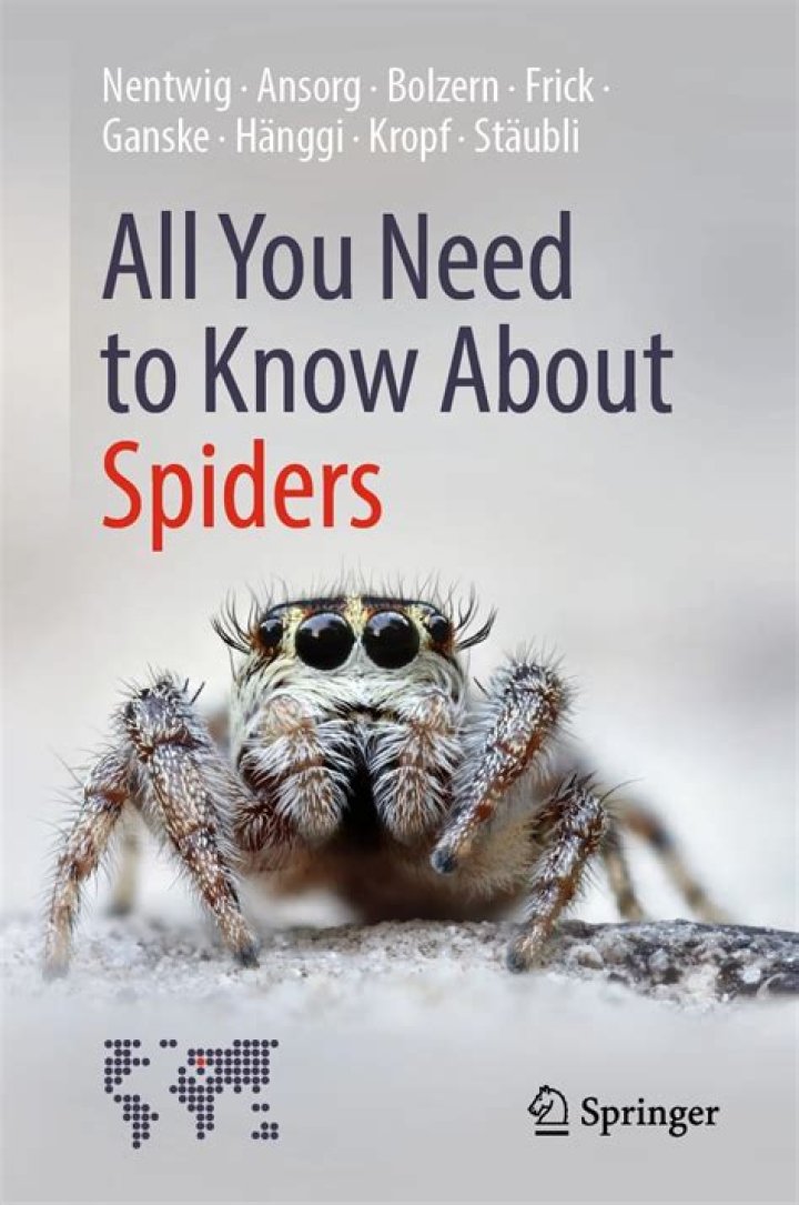 All You Need To Know About Award-Winning Author, Sydney Cassady