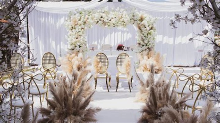 Are Nicolle Wallace And Michael Schmidt Married