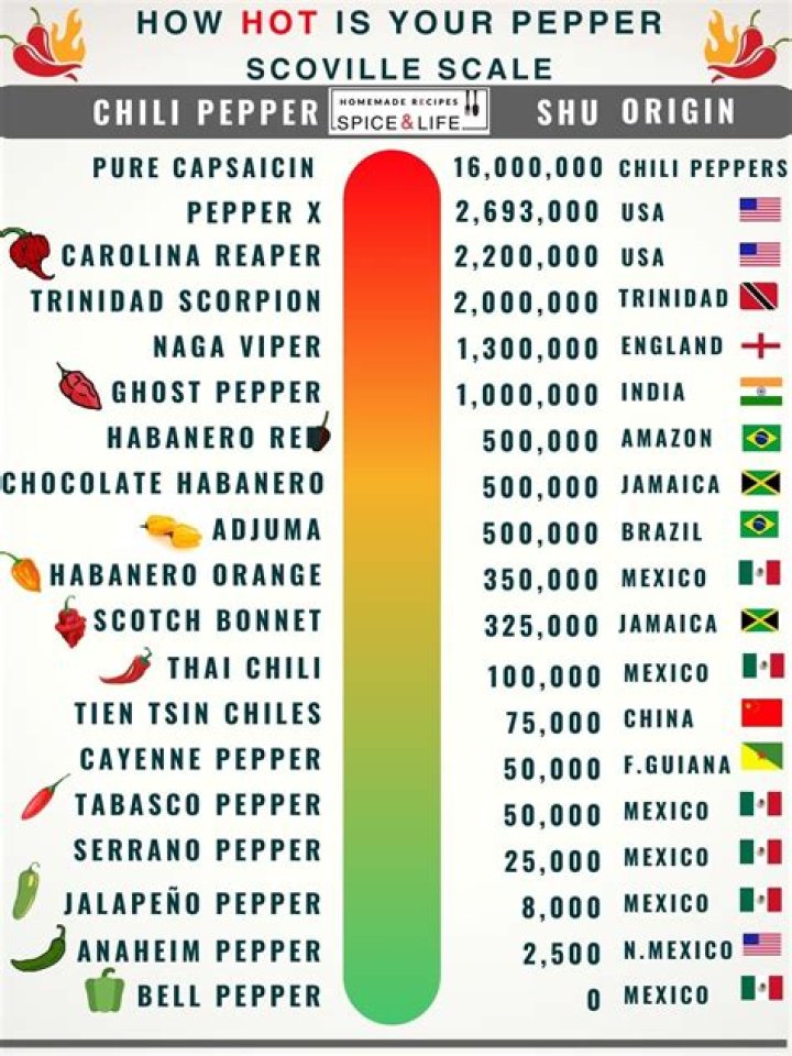Are The Red Hot Chili Peppers Married? Uncovering Marital Status