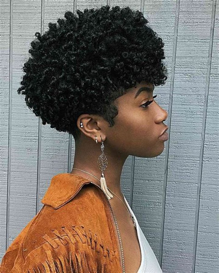 Black Natural Hair Styles Pictures