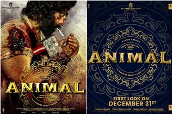 Bolly For Movie: A Deep Dive Into The Heart Of Indian Cinema