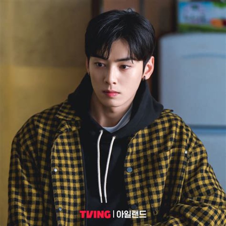 Cha Eunwoo: The Versatile Korean Heartthrob
