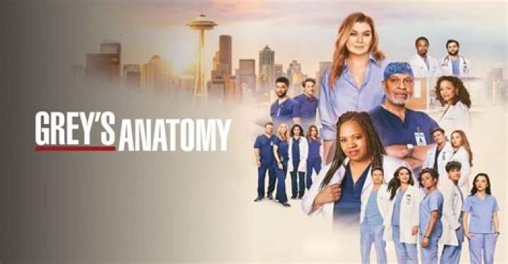 Complete Guide To The Number Of Seasons Of Grey's Anatomy: An Extensive Overview