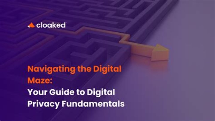 Discover Mellstroy Network: Unraveling The Digital Maze