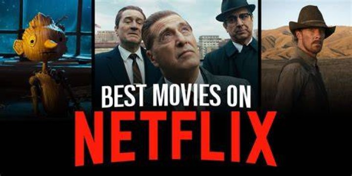 Discover The Best Movies Online