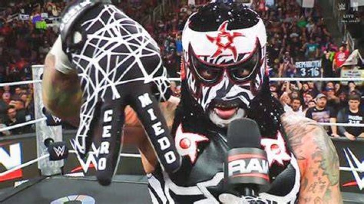 Discoveries And Insights Into The Wrestling Phenomenon