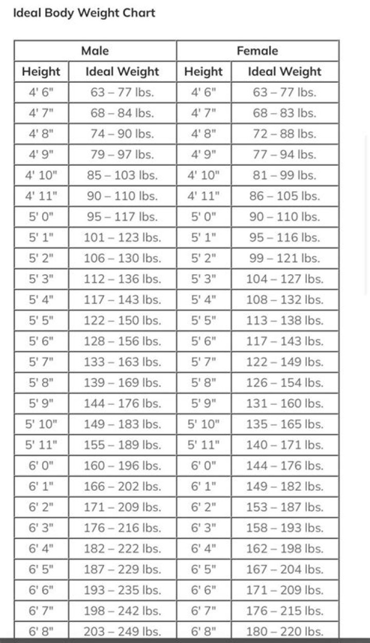 Erin Napier's Height And Weight Revealed