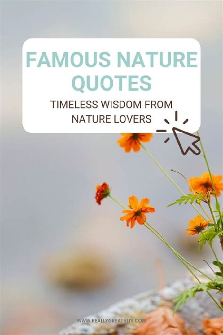 Essential Lorax Quotes: Wisdom For Nature Lovers