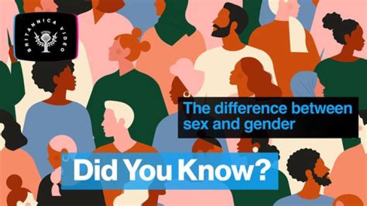 Exploring "karl Mrbeast Sexuality" And Its Societal Impact