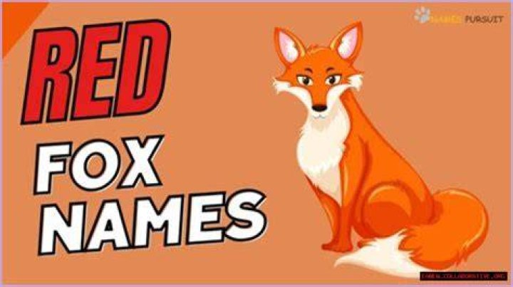Fox Cartoon Names