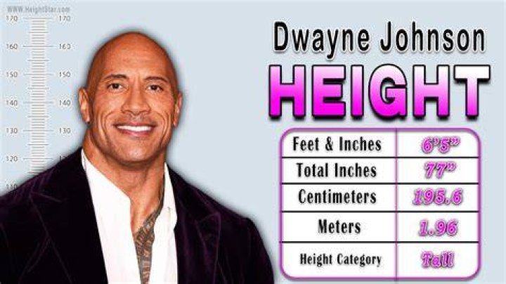 Get The Scoop On Jonny Harris's Height: How Tall Is He?
