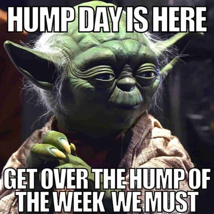 Hilarious Hump Day Memes To Brighten Your Midweek
