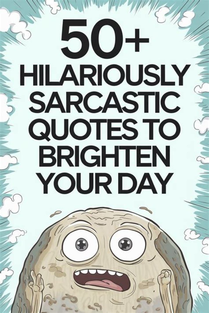 Hilarious Memes That Will Brighten Your Day