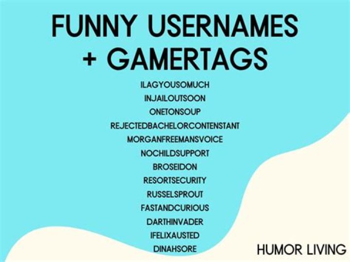 Hilarious Usernames For Gaming Shenanigans