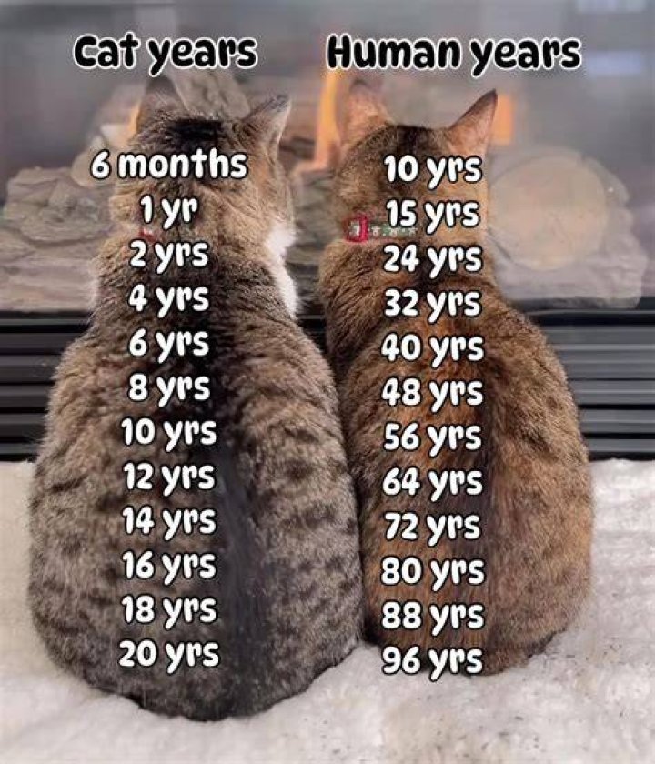 How Old Will He Be?