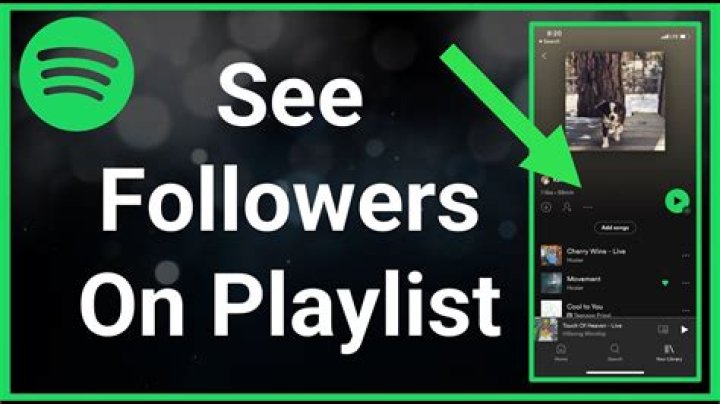 How To See Who Follows Your Playlist Spotify