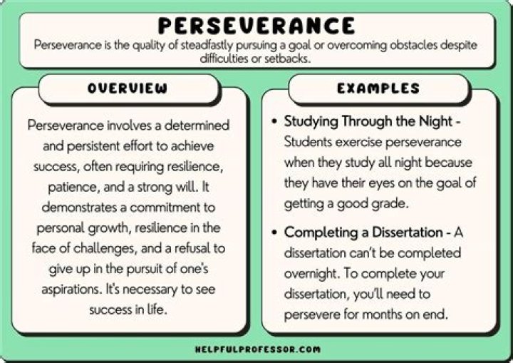 Insights Into Success And Perseverance