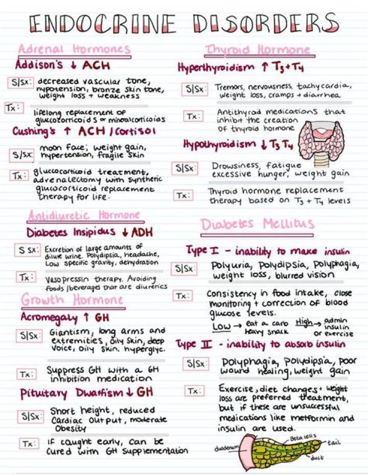 Joyce Vance Thyroid Disorders: A Comprehensive Guide