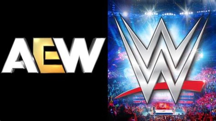Leyla Milani's Impact On WWE