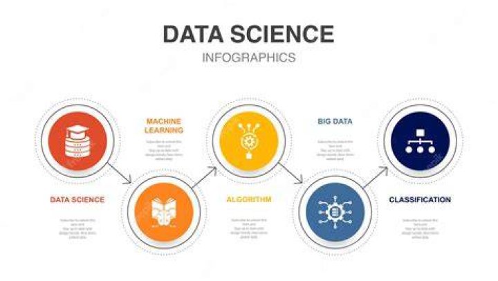 Lina Lardi | A Renowned Expert In The Field Of Data Science