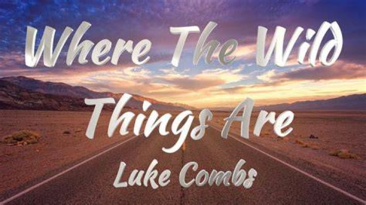 Luke Combs' Brother Embraces The Wild In "Where The Wild Things Are"