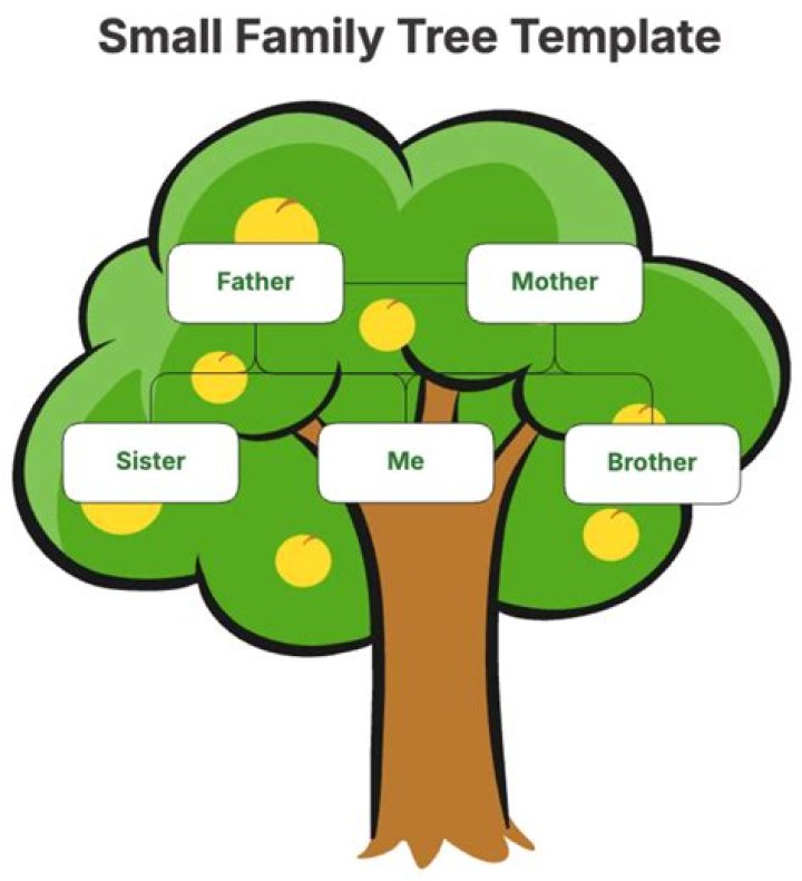 Meet Katy Mixon's Family: An Inspiring Family Tree