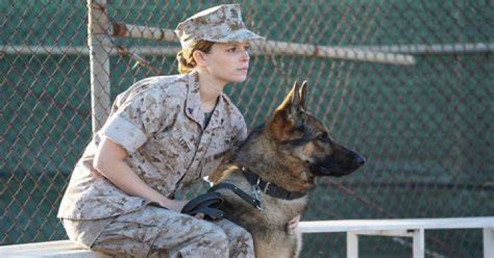 Megan Leavey's Enduring Bond: A Tale Of Love And Sacrifice