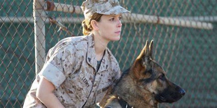 Megan Leavey And Matt Morales: A Military Love Story