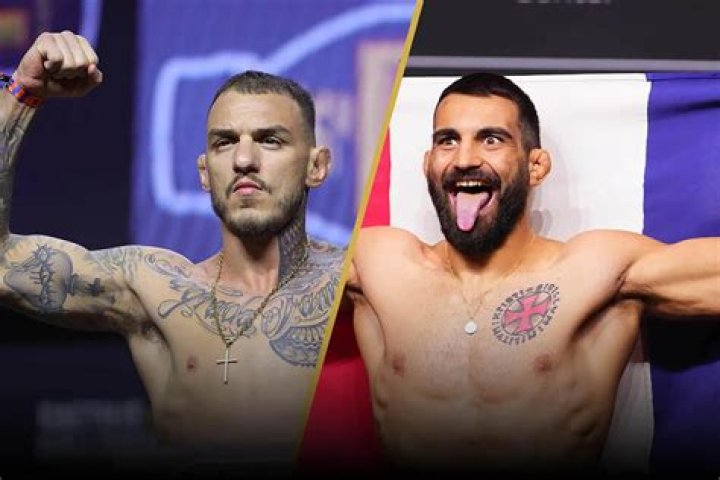 MMA Streams: Watch Live Fights Online