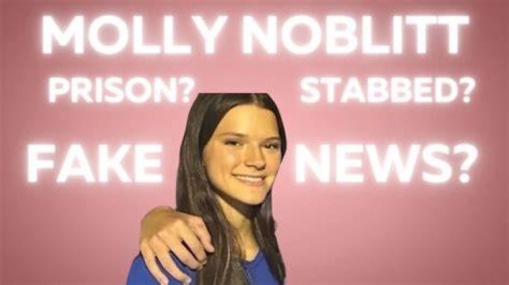Molly Noblitt Lawsuit: Unpacking The Controversy