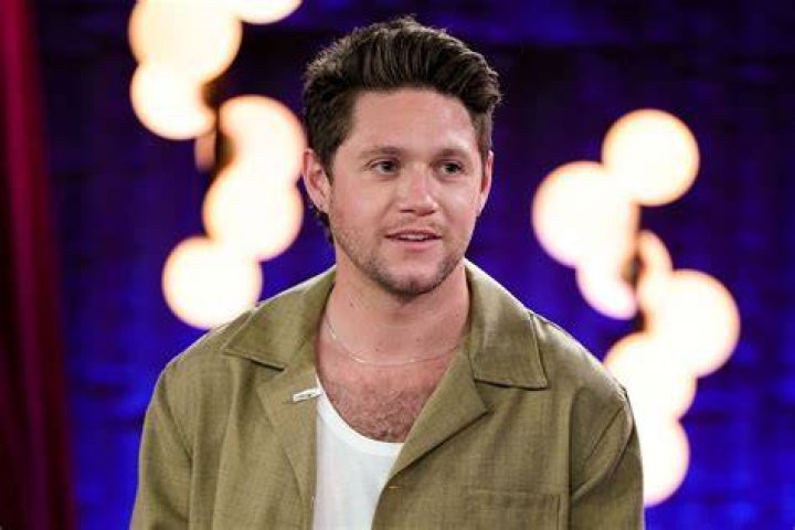 Niall Horan's Hometown: A Journey To Mullingar