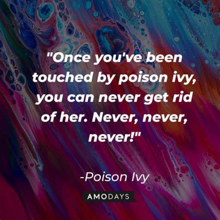 Poison Relationship Quotes