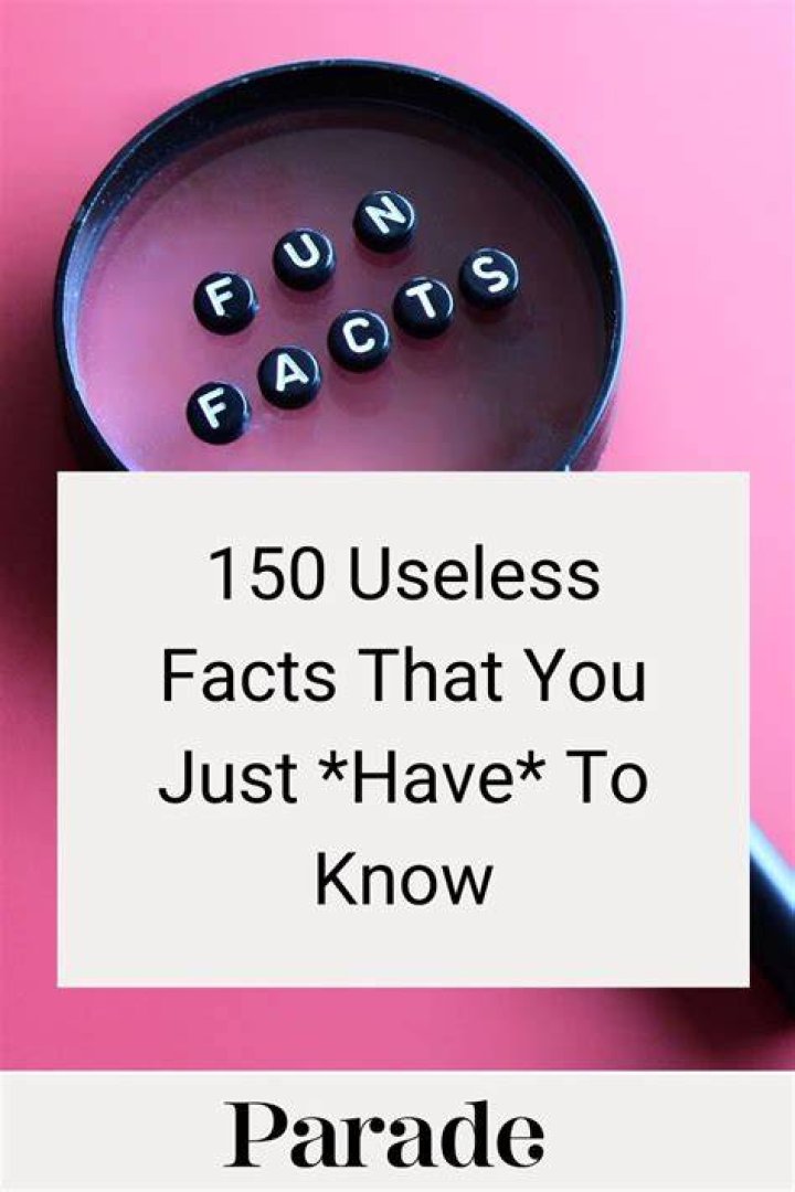 Random Useless Facts Funny