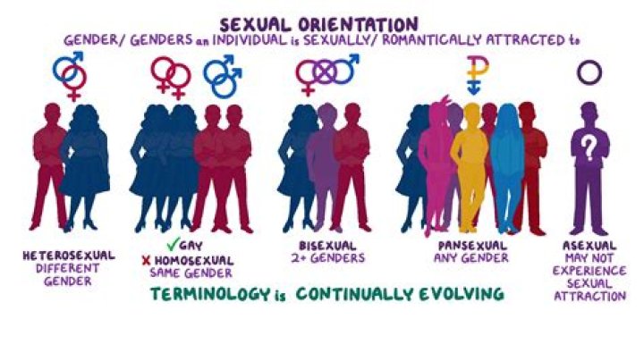 Richard Gere's Sexual Orientation - Is He Gay?