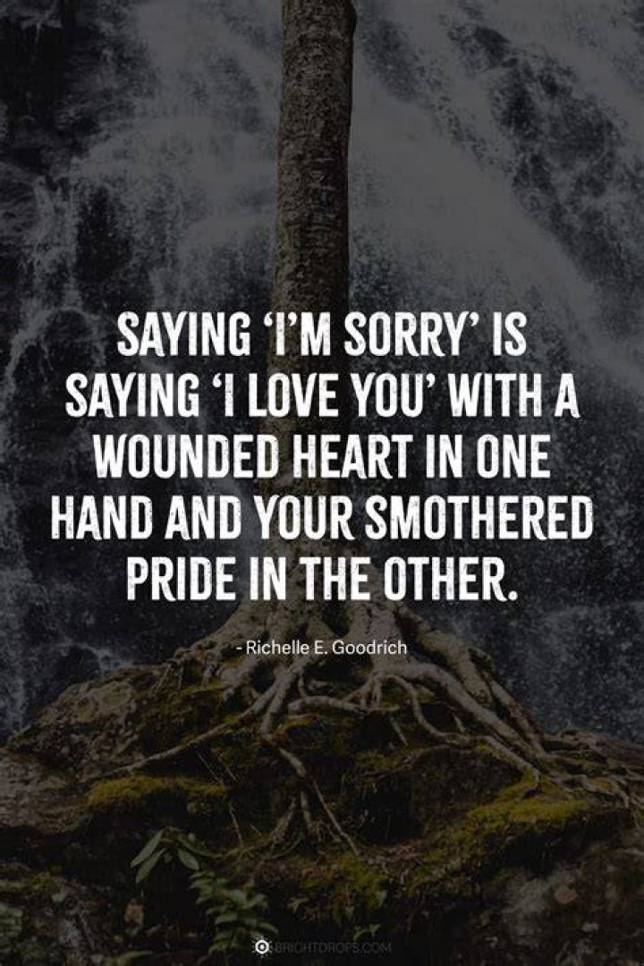 Sorry Quotes In Love