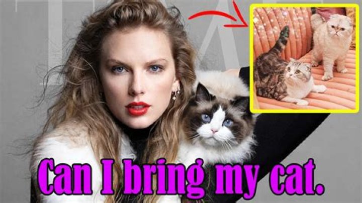 Taylor Swift's Cats And Their Enchanting Names