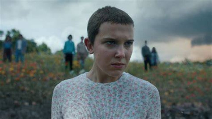 The Breakout Star Of Stranger Things