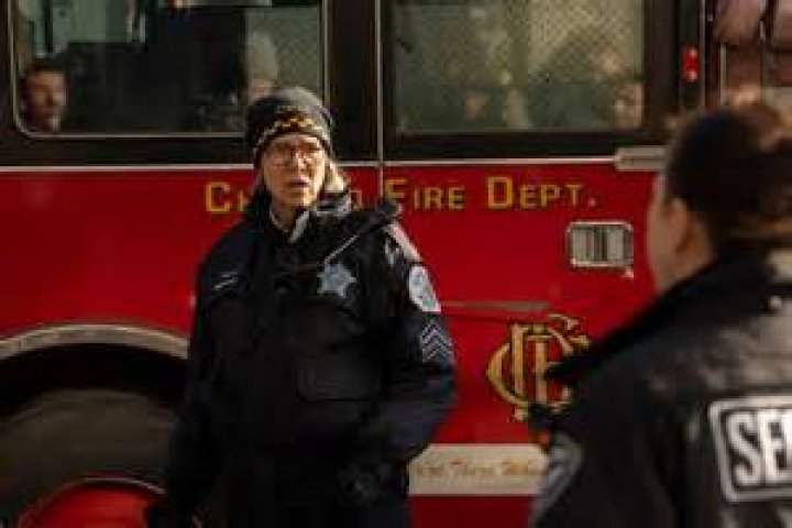 The Definitive Guide To Chicago PD's Trudy Platt