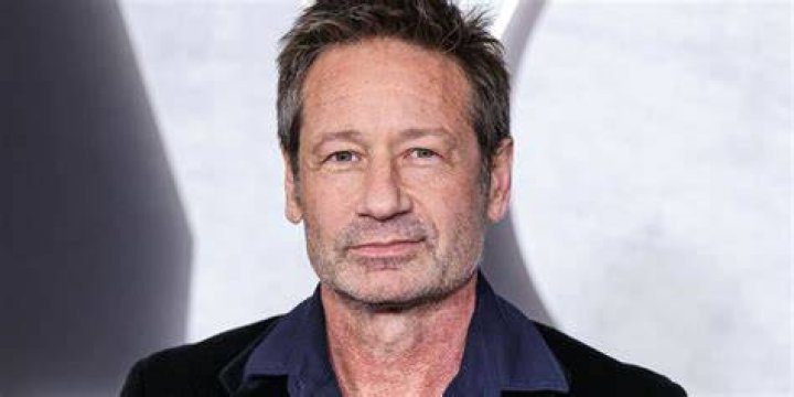 The Enduring Legacy Of David Duchovny: A Renowned Actor