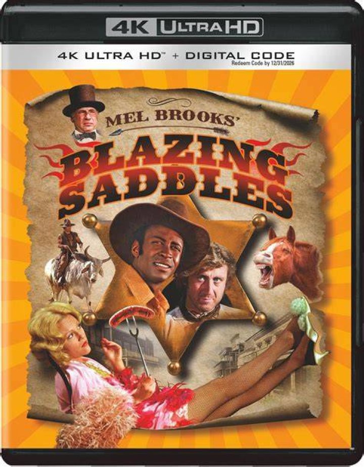 The Enduring Legacy Of Ms. Stein In Blazing Saddles