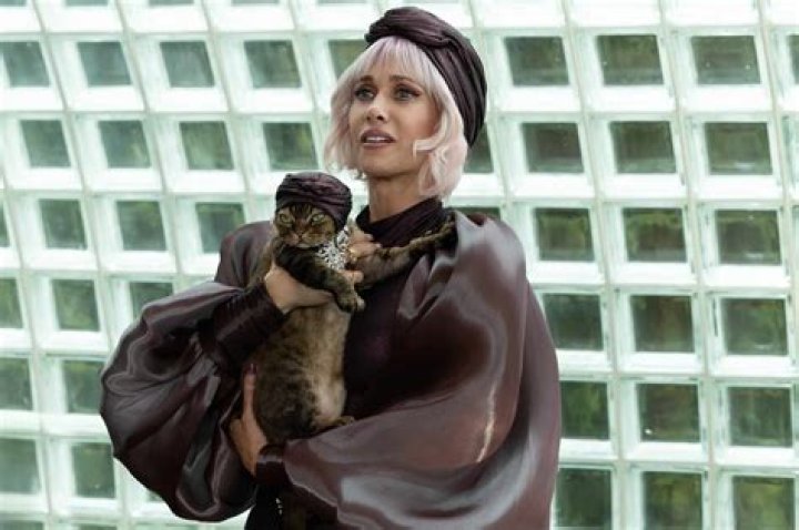 The Guide To Kristen Wiig's Children: Ages, Names, And More