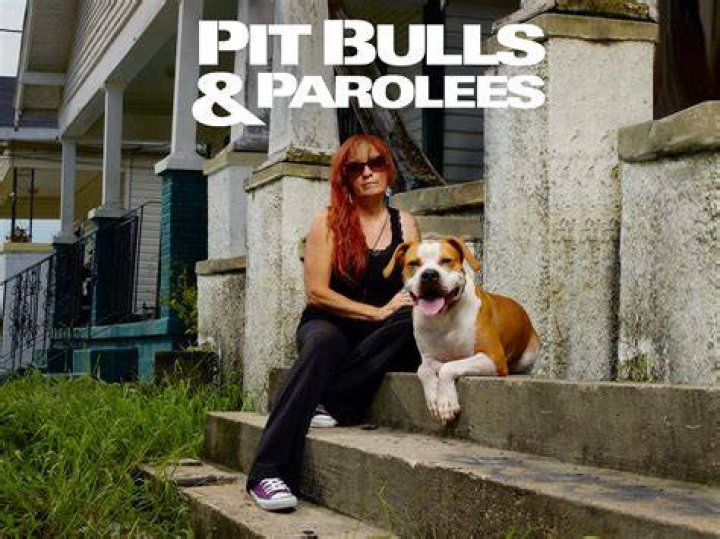 The Inspiring Journey Of Mariah On "Pit Bulls And Parolees"