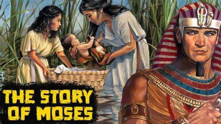 The Story Of His Devoted Spouse